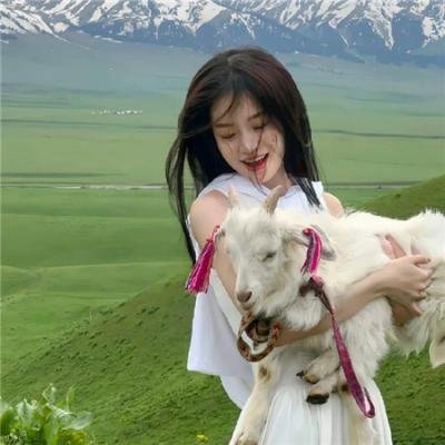 闪婚总动员